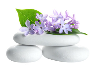 Stacked white stones with lilac blossoms and green leaves, on a transparent background