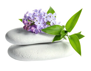 Stacked white stones with lilac blossoms and bamboo sprigs against a black backdrop
