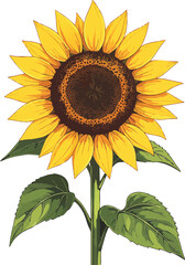 Sunflower Head Tilting Joyfully Toward the Sun in a Bright and Cheerful Nature Scene