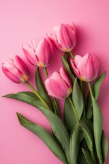 Obraz premium Spring flowers create a bouquet of pink tulips on pastel pink background, suitable for various celebrations and special occasions throughout the year