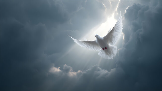 White dove flying with outstretched wings through dark clouds with bright light, symbolizing holy spirit and peace for prayer and religious concepts. - Powered by Adobe