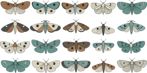 Vintage moth species collection with different wing patterns pastel colors hand drawn vector illustration set © Sumon Creative