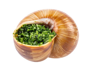 Close-up of a cooked escargot in its shell, filled with green herb mixture