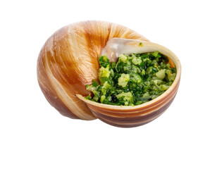 A single escargot shell filled with vibrant green herb butter, isolated on a black background