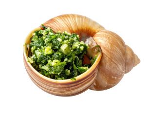 Close-up of a snail shell filled with a vibrant green mixture, isolated on a black background