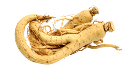 Close-up studio shot of two intact, beige-colored herbal roots. The twisted roots showcase a natural, raw, and earthy aesthetic