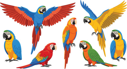 Colorful macaw parrot characters set with flying and standing poses tropical bird vector illustration © Sumon Creative
