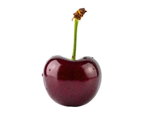 A single, shiny, ripe, dark red cherry with a green stem against a black background