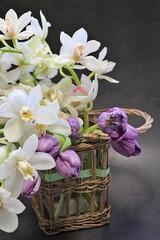 orchid flowers, cut flowers, cut white orchid branches, purple tulip, flower bouquet, lush cream orchids