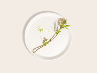 Minimalist Spring Branch on White Plate for Seasonal Marketing Content. Spring Aesthetic Concept of Renewal, Eco-Friendly Branding, and Fresh Beginnings with Clean Design for Organic Lifestyle Visuals