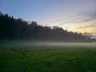 Germany, Magical foggy sunset atmosphere at green pasture at edge of the forest with blue sky in autumn season nature landscape