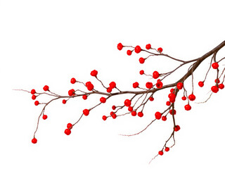 Winterberry branch with vibrant red berries
