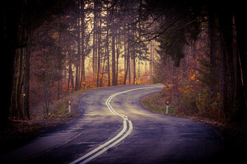 Asfaltowa droga przez wysoki las. Jest jesień, ziemia pokryta jest warstwą suchych liści. Na drzewach są żółte mi brązowe liście. © boguslavus