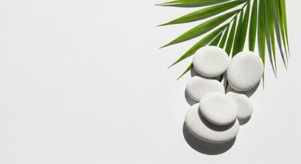 White pebbles & palm leaf on white