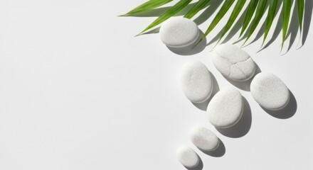 White stones and green palm leaf in bright light