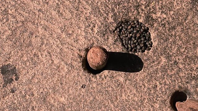 In a rural Indian household, a woman carefully grinds black gram lentils using a traditional hand-operated millstone, preserving age-old food preparation methods passed down through generations.