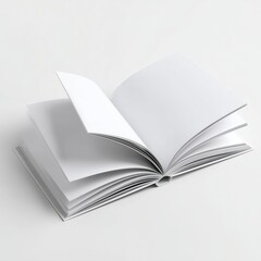 Open Blank Book Pages