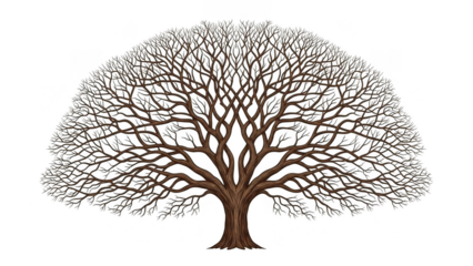 Majestic, leafless tree with intricate branches