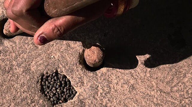 Under natural sunlight in a rural setting, an Indian woman uses a manual grinding stone to process black gram lentils, reflecting cultural traditions and self-reliant domestic practices.
