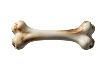 A dog chew bone isolated on transparent background