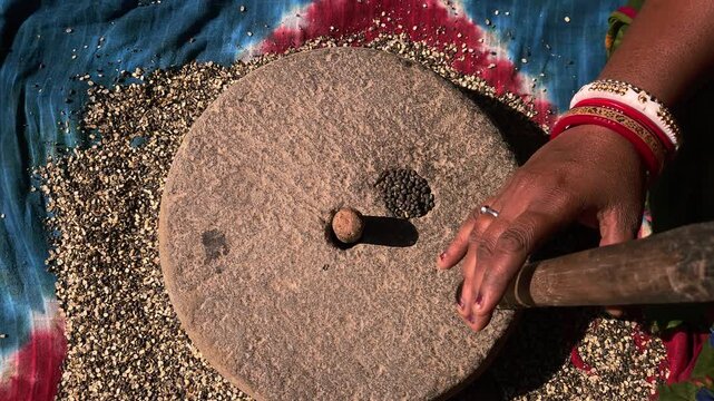 Indian woman in a rural setting using a traditional hand-operated millstone, also known as a quern, to grind Black gram lentils.