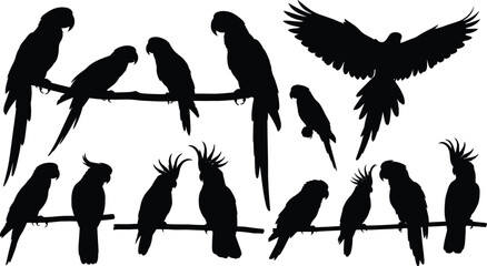 Parrot bird silhouette set with different perched and flying poses tropical wildlife vector illustration © Sumon Creative