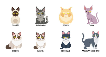 A collection of adorable cat breeds rendered in a modern 2D flat vector icon set, perfect for use in clean web and mobile user interface applications on a crisp white background.