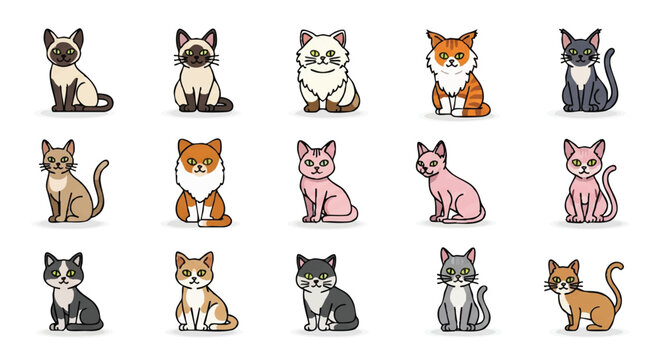 Colorful vector illustration set featuring popular domestic cat breeds represented as clean, minimalistic 2D flat style profile icons, isolated on a pure white studio background.