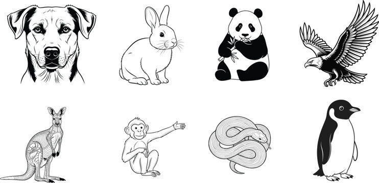 Black and white animal silhouette illustrations including dog rabbit panda eagle kangaroo monkey lion penguin