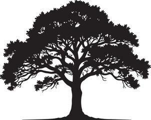 Fototapeta premium Classic Bonsai Tree Silhouette Vector SetMinimal Japanese Bonsai Black Art CollectionElegant Potted Bonsai Tree Illustration Bundle