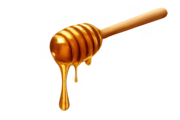 Honey dipper holding and dripping golden sticky sweet syrup, natural bee product food ingredient on transparent background