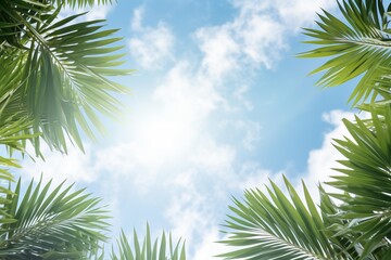 Fototapeta premium Green palm leaves frame a sunny blue sky with white clouds, creating a tropical summer background
