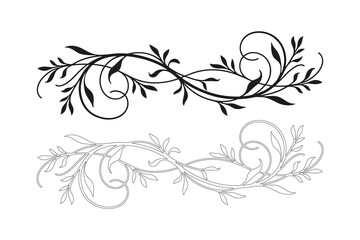 Elegant scrolling floral design elements