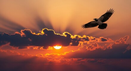 Bird flying freely against glowing sunset clouds 