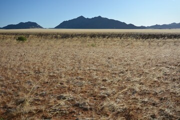 Sandw&uuml;ste im Namib-Naukluft-Nationalpark in Namibia