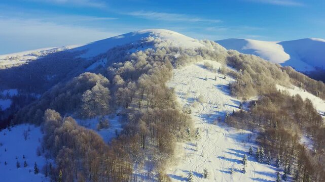 High snowy mountain covered with evergreen fir trees on a sunny cold day