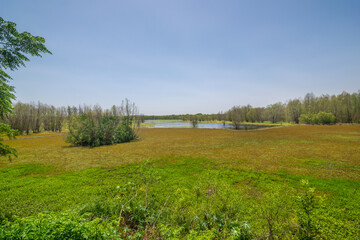 Obraz premium View of Costanera Sur Reserve - Buenos Aires, Argentina