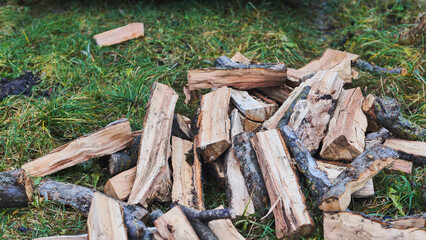 Unloading firewood and throwing it in a pile. Close-up.