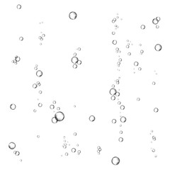 Oxygen air bubbles  flow  in water on white  background.
