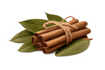 Cinnamon sticks bundle with green leaves, tied with twine, aromatic spice for cooking, food, and flavor, transparent background