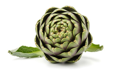Fototapeta premium A high-quality professional studio shot of a whole fresh organic green artichoke with a vibrant leaf, perfectly isolated on a solid white background.