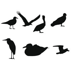 Obraz premium Collection of Bird Silhouettes in Various Poses and Angles