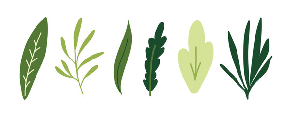 Hand drawn botanical leaf collection featuring various green foliage shapes in a simple flat style isolated on white background