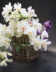 orchid flowers, cut flowers, cut white orchid branches, purple tulip, flower bouquet, lush cream orchids