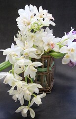 orchid flowers, cut flowers, cut white orchid branches, purple tulip, flower bouquet, lush cream orchids
