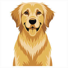 Fototapeta premium golden retriever puppy vector