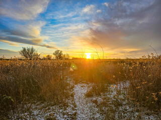 glowing winter sunrise illuminates a snowy path through tall dry grass and shrubs under a vibrant sky, blending warmth and cold in a peaceful rural scene