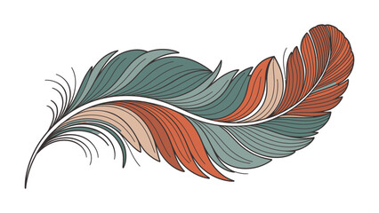 Obraz premium Whimsical Feather Illustration: A detailed illustration of a single, elegantly curved feather.