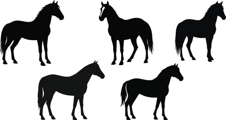 Fototapeta premium Collection of Black Horse Silhouettes