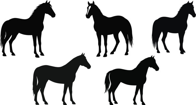 Collection of Black Horse Silhouettes